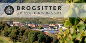 Weingut Brogsitter - Weinberge im Sommer